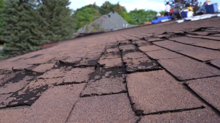 Roof Coating Services in Crestline, OH